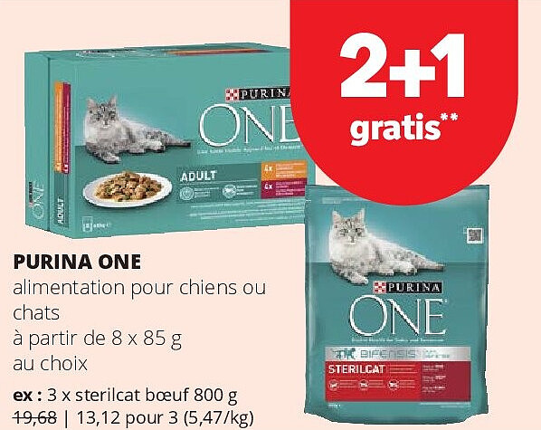 PURINA ONE alimentation pour chiens