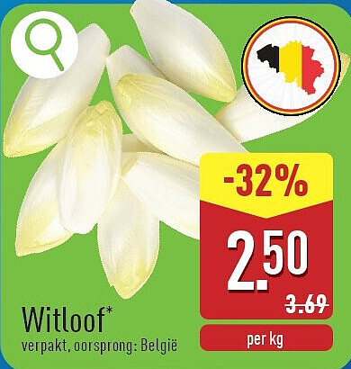 Witloof