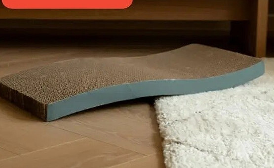 Griffoir carton Lio Teal - 45x25x5cm Teal