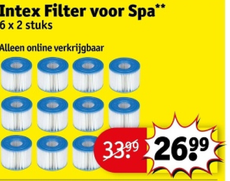 Intex Filter voor Spa**