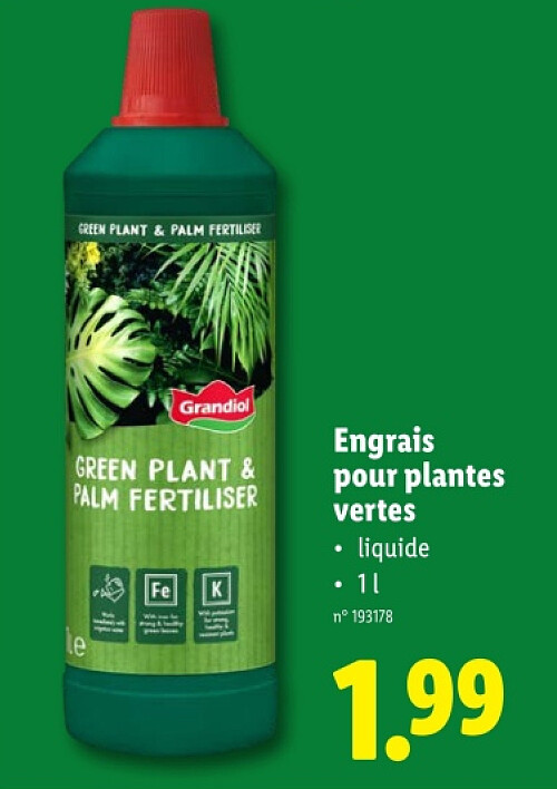 Engrais pour plantes vertes