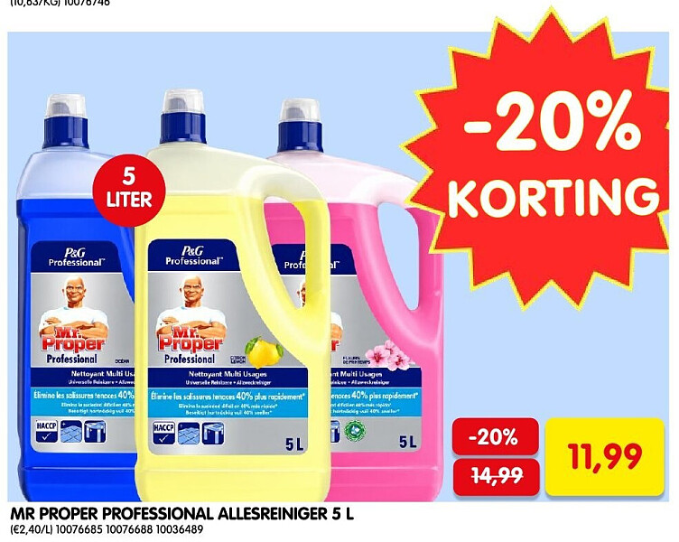 MR PROPER PROFESSIONAL ALLESREINIGER 5 L