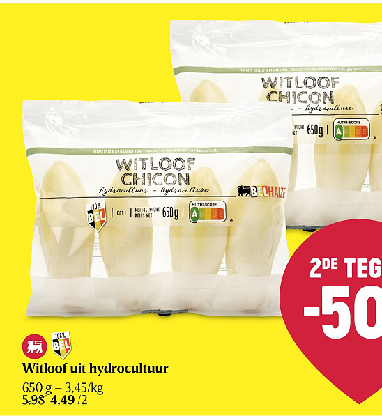Witloof uit hydrocultuur