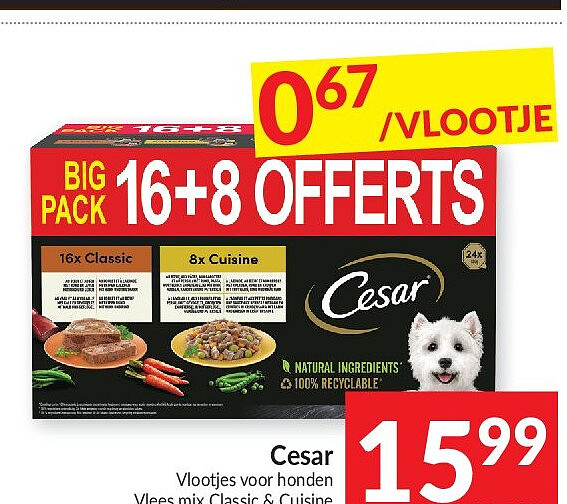 Cesar Vlootjes voor honden