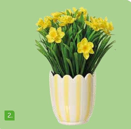 Narcissen in gestreepte bloempot