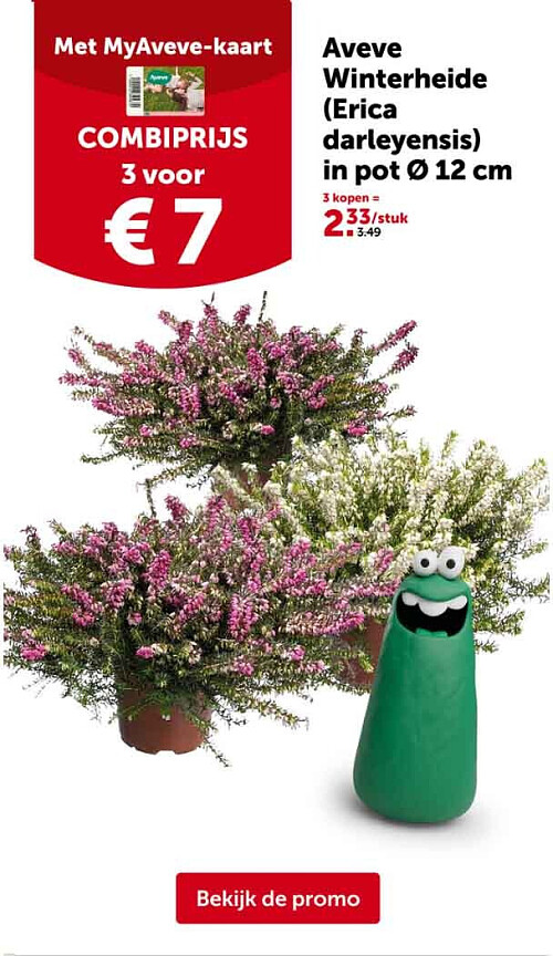 Aveve Winterheide (Erica darleyensis) in pot Ø 12 cm