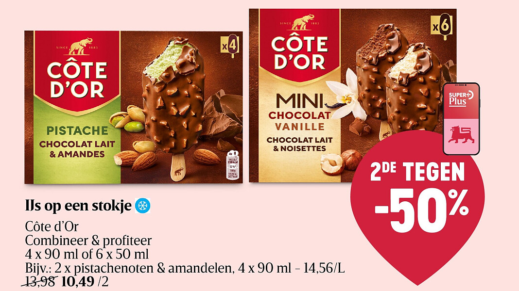 IJs op een stokje