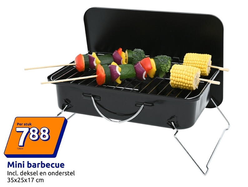 Mini barbecue