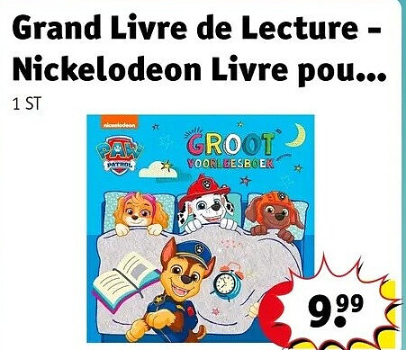 Grand Livre de Lecture - Nickelodeon Livre