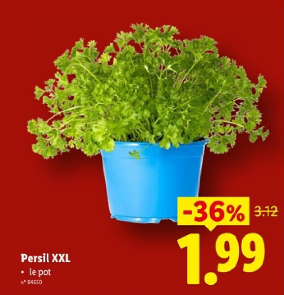Persil XXL