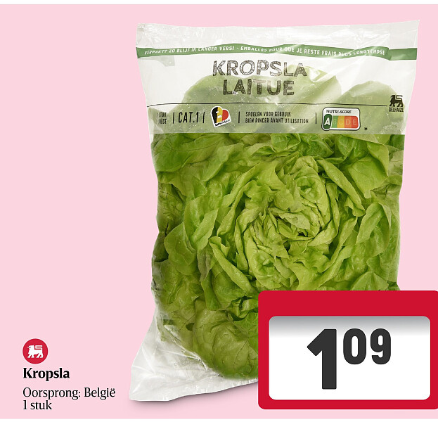 Kropsla