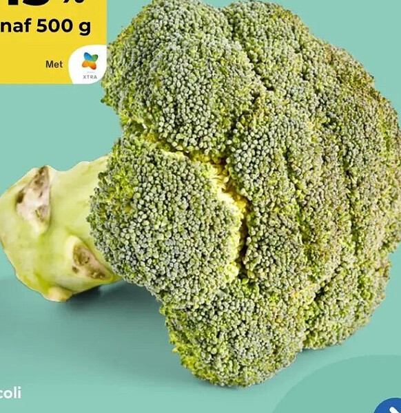 Broccoli