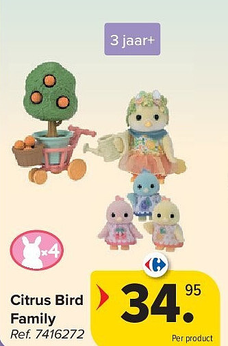 Citrus Bird Family