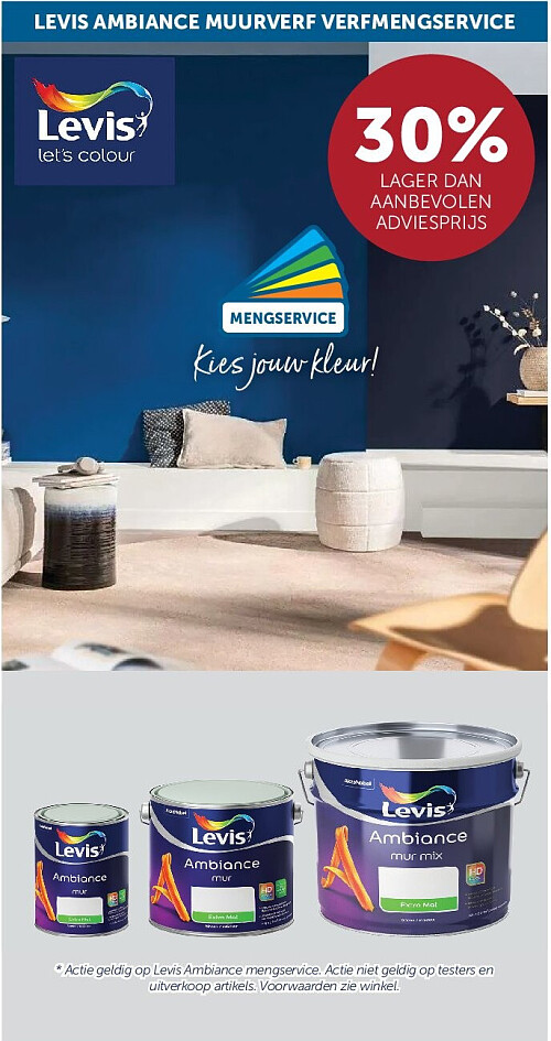 LEVIS AMBIANCE MUURVERF VERFMENGSERVICE