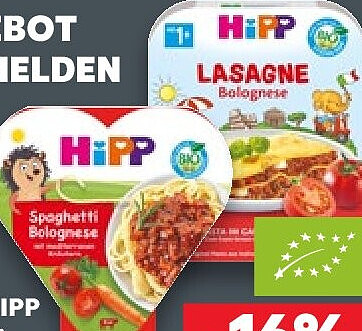 HiPP Bio-Fertiggericht