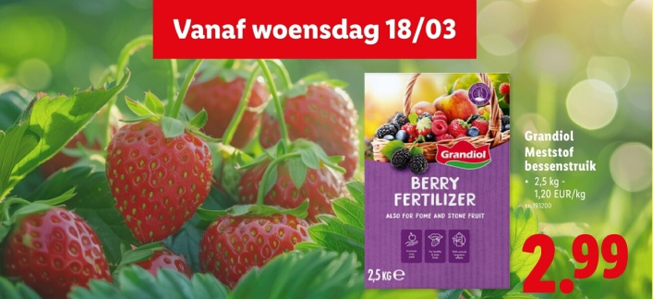 Meststof bessenstruik