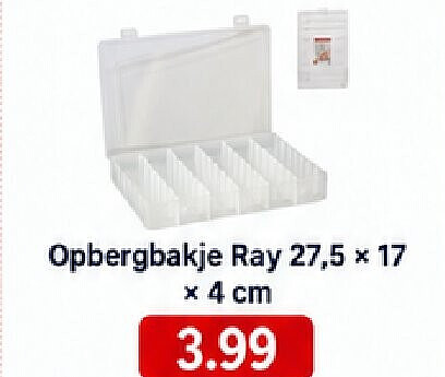 Opbergbakje Ray 27,5 x 17 x 4 cm
