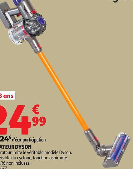 Aspirateur Dyson