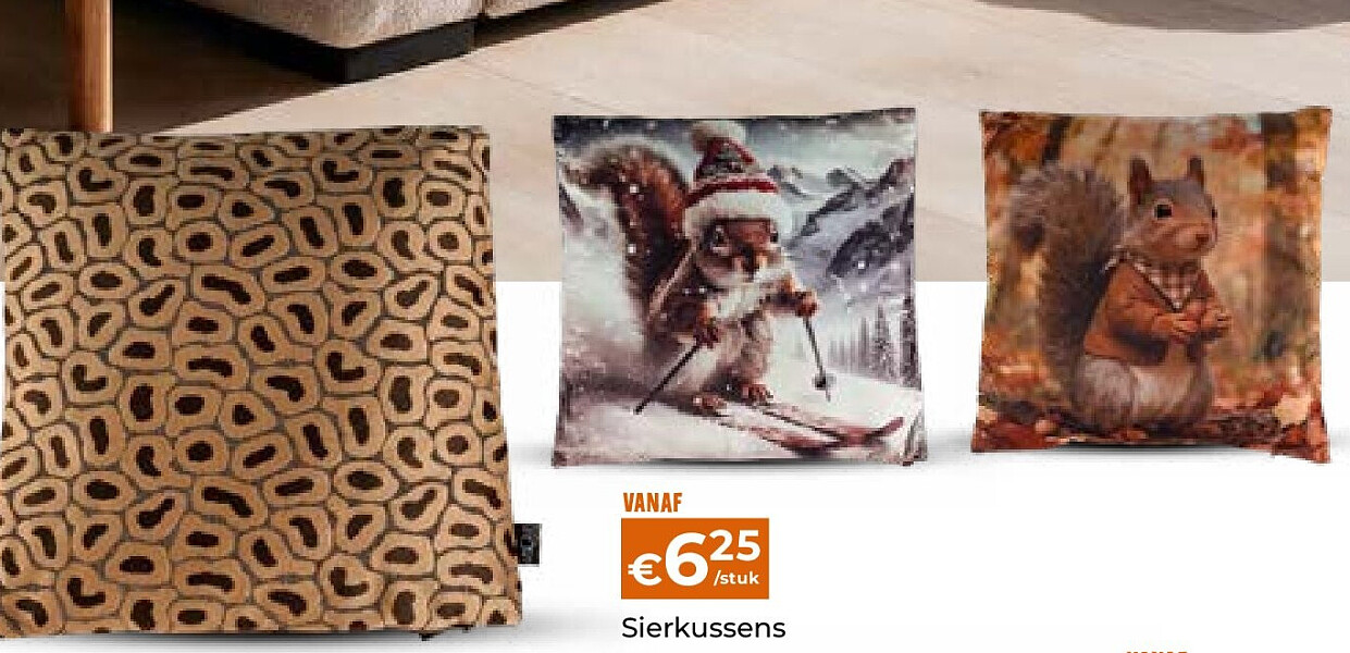 Sierkussens