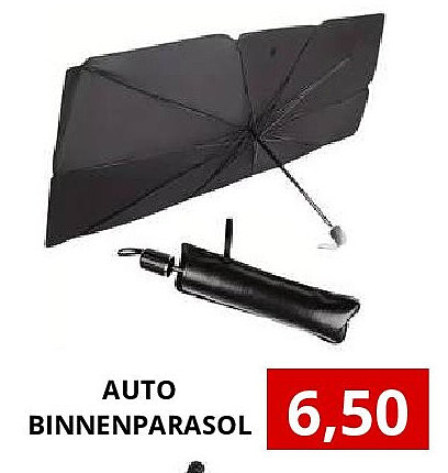 AUTO BINNENPARASOL