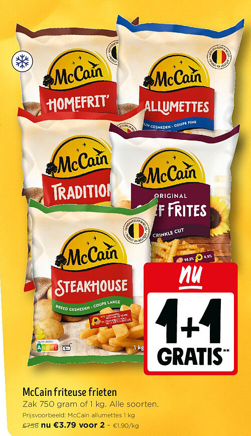 McCain friteuse frieten