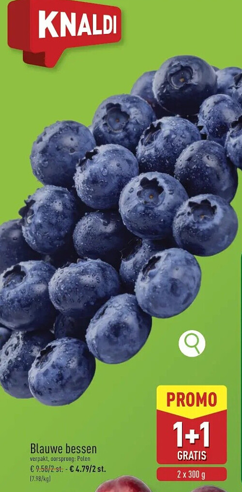 Blauwe bessen