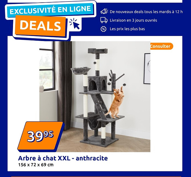 Arbre à chat XXL - anthracite