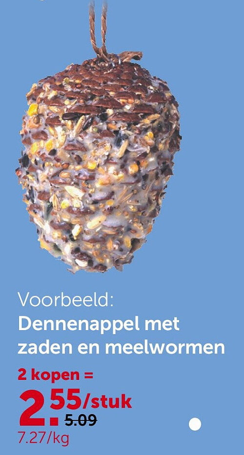Dennenappel met zaden en meelwormen