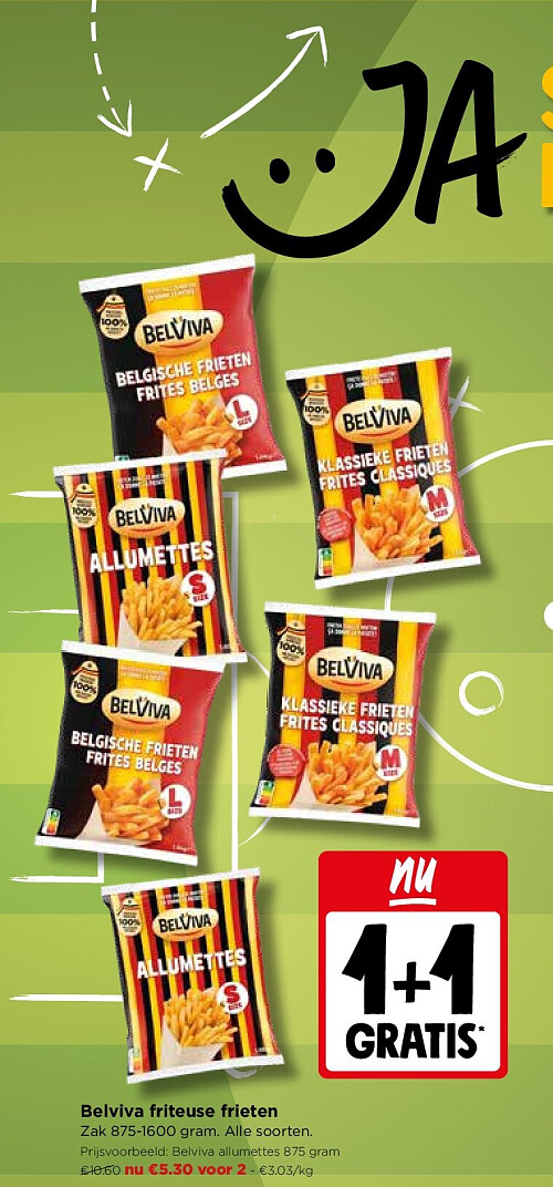 Belviva friteuse frieten