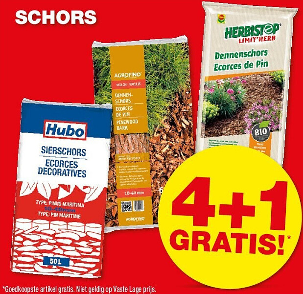 SCHORS