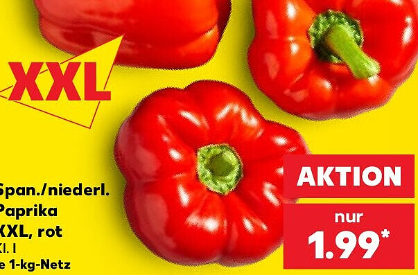 Paprika XXL, rot