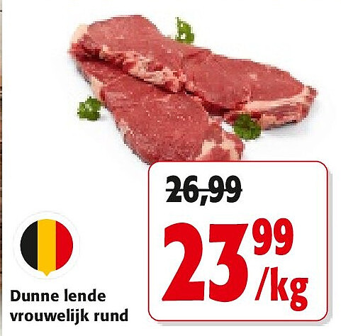 Dunne lende vrouwelijk rund