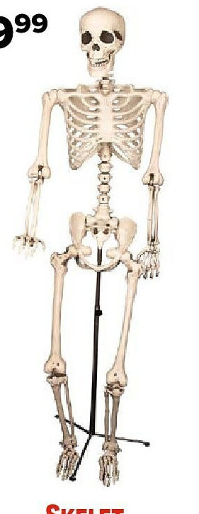 Skelet