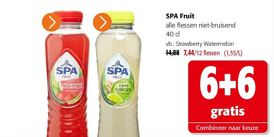 SPA Fruit alle flessen niet-bruisend 40 cl