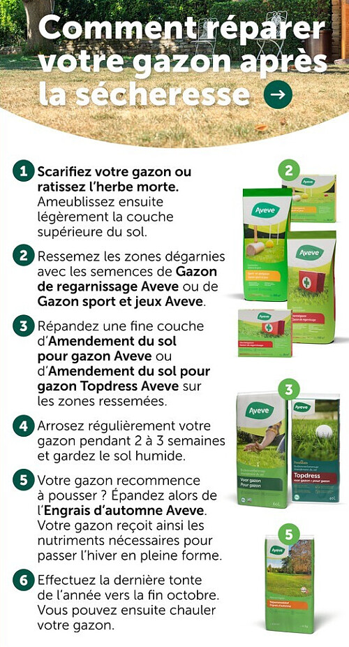 Comment réparer votre gazon après la sécheresse