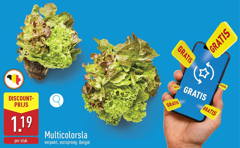 Multicolorsla