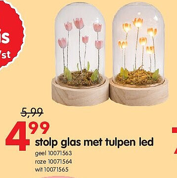stolp glas met tulpen led