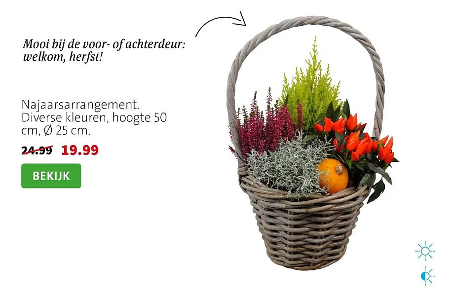 Najaarsarrangement. Diverse kleuren, hoogte 50 cm, Ø 25 cm.