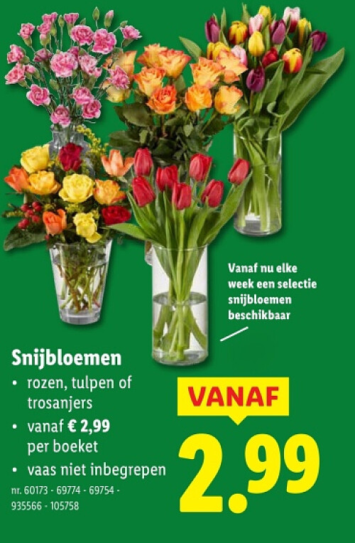 Snijbloemen