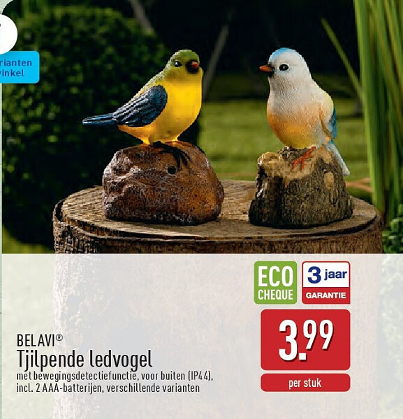 Tjilpende ledvogel