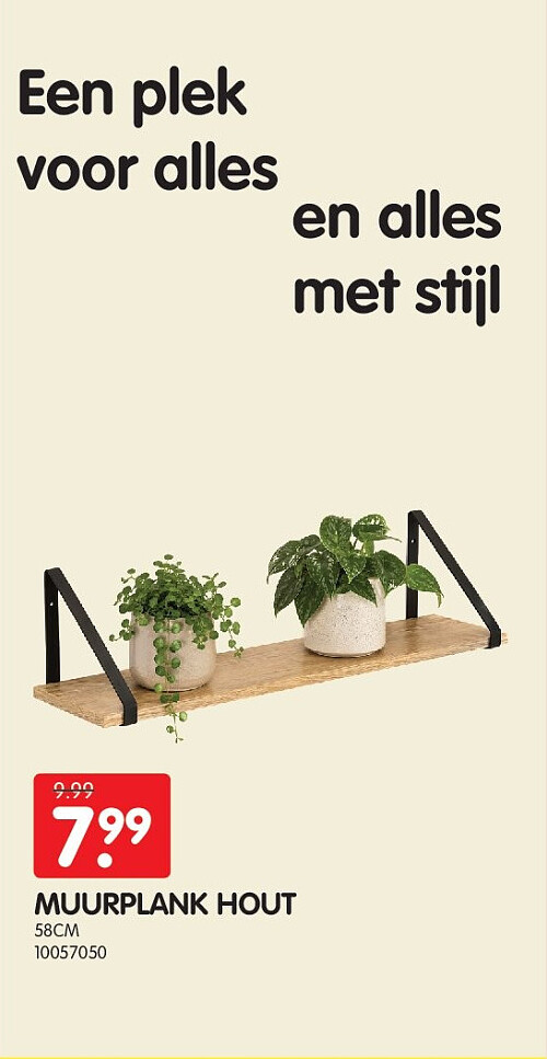 MUURPLANK HOUT