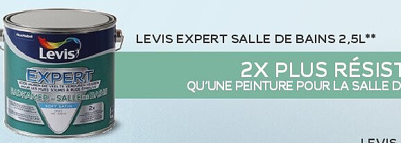 LEVIS EXPERT SALLE DE BAINS 2,5L