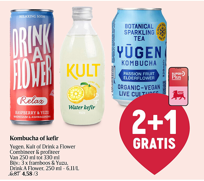 Kombucha of kefir