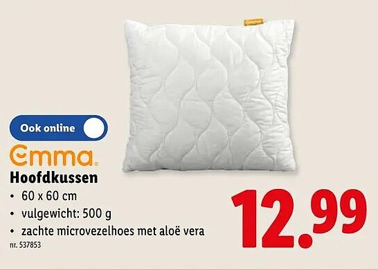 Hoofdkussen