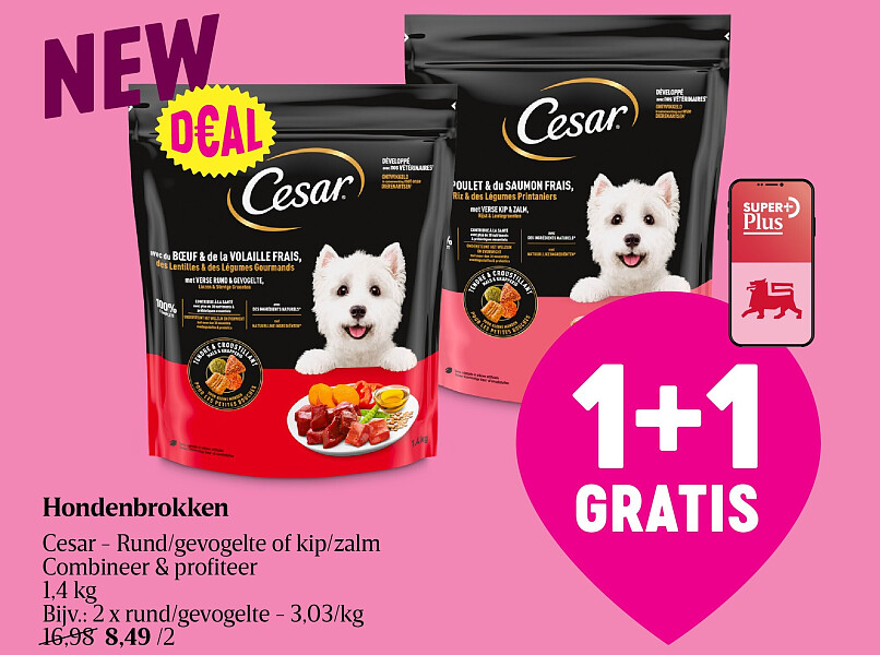 Hondenbrokken