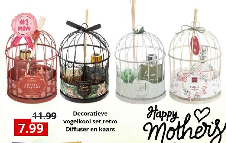 Decoratieve vogelkooi set retro Diffuser en kaars