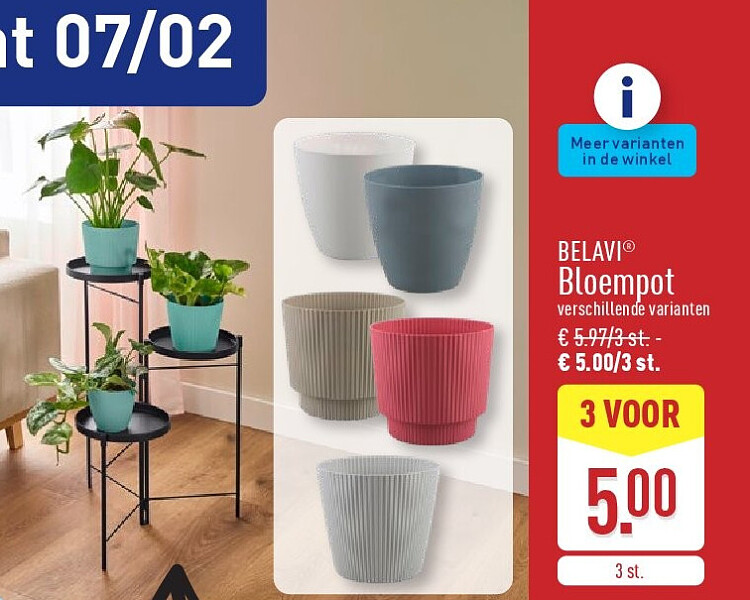Bloempot