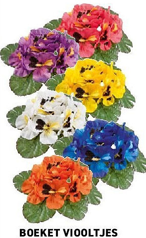 Boeket viooltjes