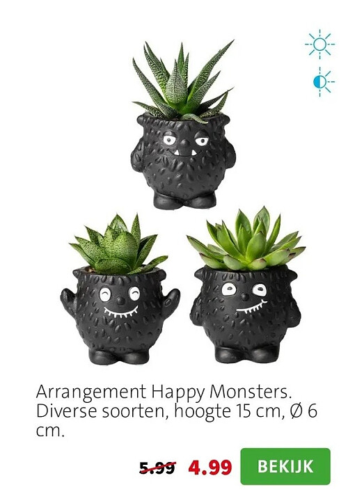 Arrangement Happy Monsters. Diverse soorten, hoogte 15 cm, Ø 6 cm.