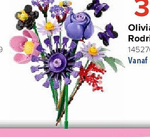 Olivia boeket Rodrigo